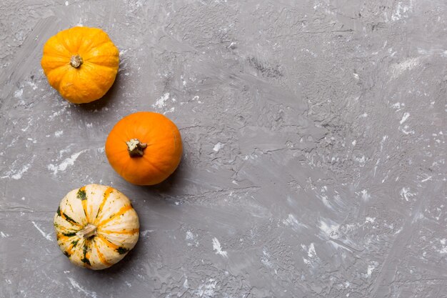 Herbst-Komposition von kleinen orangefarbenen Kürbissen auf farbigem Tischhintergrund Herbst-Halloween- und Thanksgiving-Konzept Herbst-Flat-Lay-Fotografie Draufsicht mit Kopierbereich