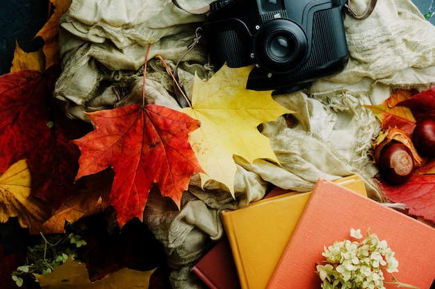 Herbst-Kreativitäts-Fallstimmungskonzept