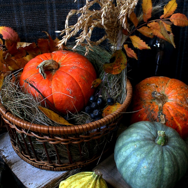 Herbst Kürbis rustikal