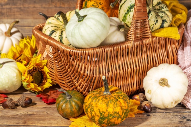 Herbst Kürbisse Hintergrund