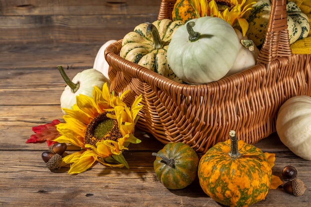 Herbst Kürbisse Hintergrund