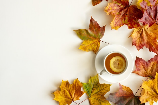 Herbst-Layout. Gefallene helle Blätter und eine Tasse heißen Tee mit Zitrone auf weißem Hintergrund. Ansicht von oben