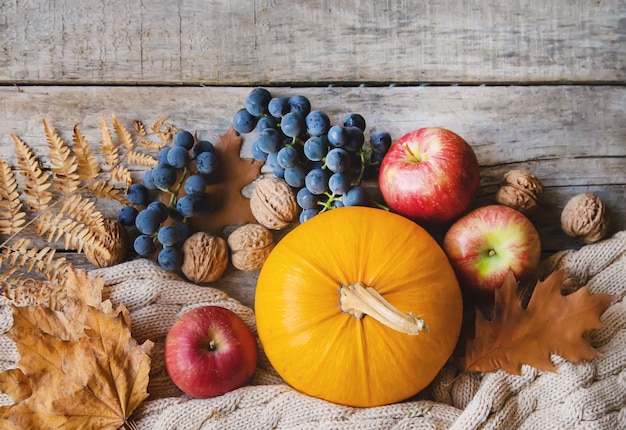 Foto herbst mit kürbis. erntedank.