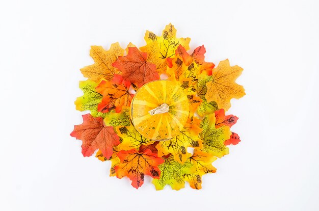 Herbst mit Kürbissen und Blättern