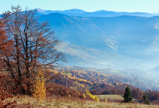 Herbst neblige Berglandschaft mit bunten Bäumen am Hang.