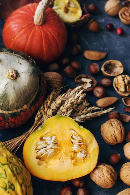 Herbst- oder Erntedankhintergrund mit dekorativen Kürbismais-Nusstrauben und -weizen auf dunkler Steintischernte-Stilllebenzusammensetzung