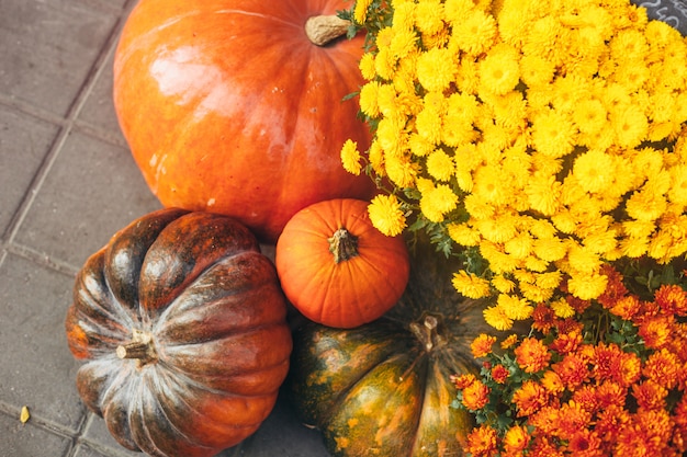 Herbst- oder Herbstdekorationen im Freien mit großen Kürbisen und verschiedenen Blumen.