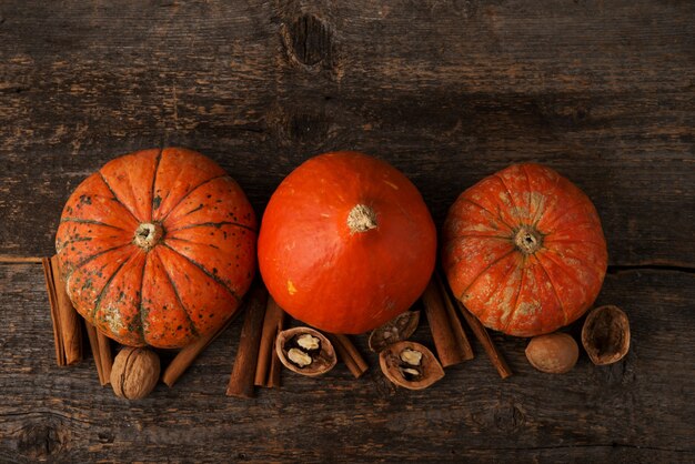 Herbst orange Mini-Kürbisse auf konkretem Hintergrund, Herbsthintergrund, Draufsicht, Kopienraum