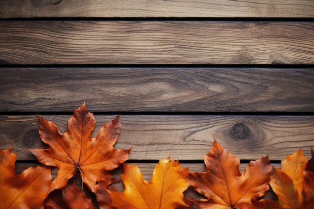 Herbst Orangenblätter und alte Holzbrett Herbst natürlicher Hintergrund