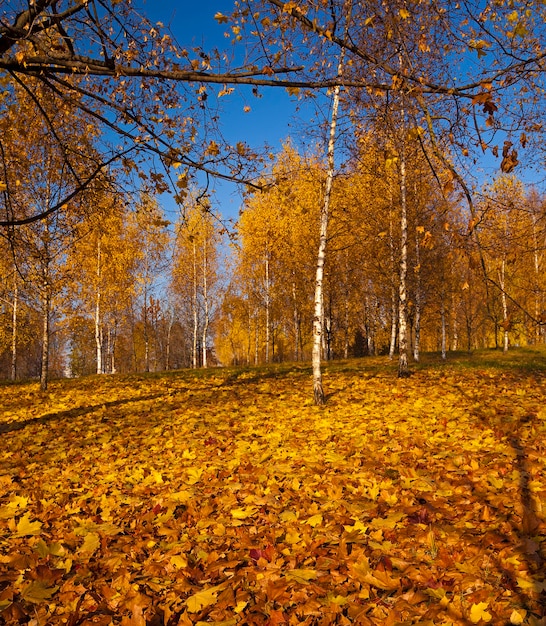 Herbst-Park