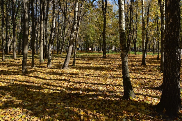 Herbst-Park