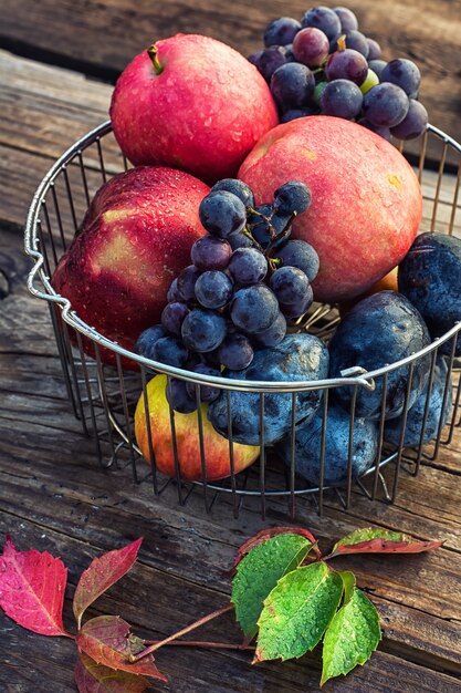 Foto herbst rote äpfel