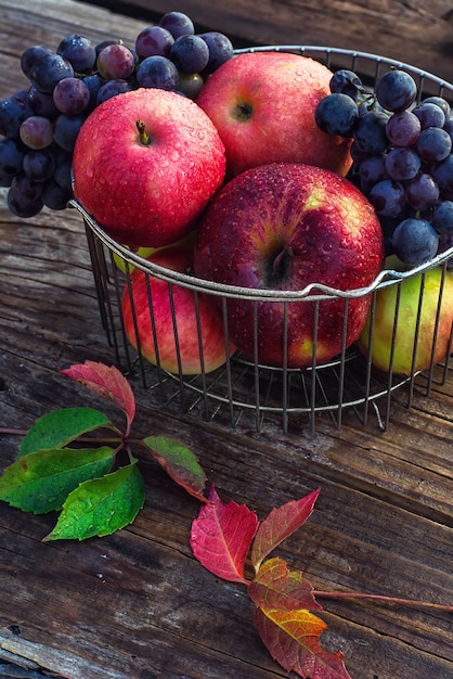 Herbst rote Äpfel