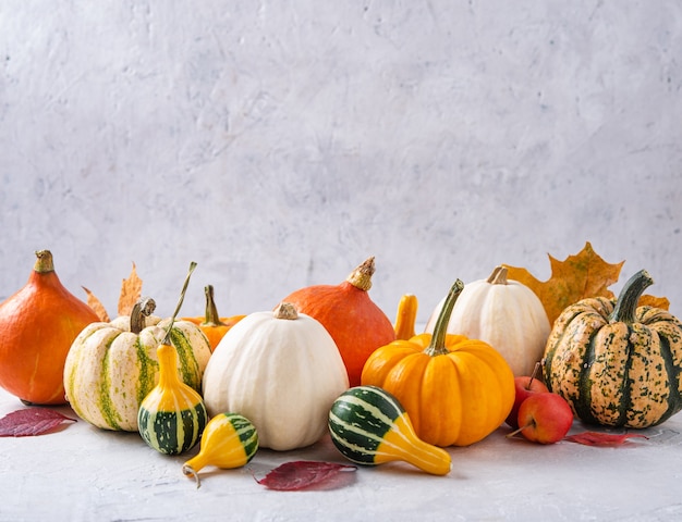 Herbst stillife. Die Zusammensetzung mehrerer bunter dekorativer Kürbisse auf weißem Tisch.