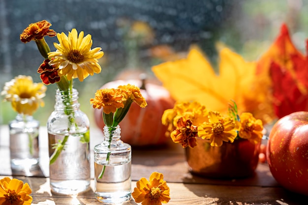 Herbst-Stillleben mit Blumen und orangefarbenen Blättern Orangefarbene Blumen in Glasvasen Abstraktes Konzept der Herbstszene