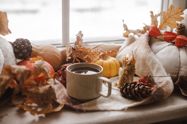 Herbst Stillleben warme Tasse Tee Kürbisse fallen Blätter Kerze und Wollschal auf der Fensterbank Herbst Hygge Glücklicher Thanksgiving