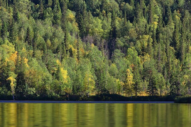 Herbst-Taiga-Waldlandschaft, Naturblick Herbst in den Bergen