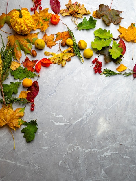 Herbst Thanksgiving Hintergrund mit bunten gemischten Blättern Kürbisbeeren Cydonia Physalis Rahmen mit Kopierraum Mockup für saisonales Angebot