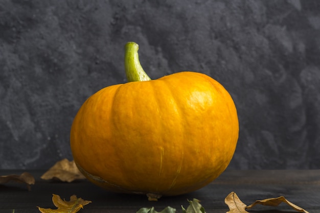 Herbst Thanksgiving und Halloween Kürbis mit trockenen Blättern auf einem dunklen. Herbst Zusammensetzung.