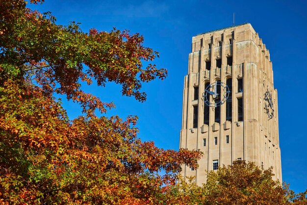 Herbst-Uhrturm an der Universität von Michigan Ground View