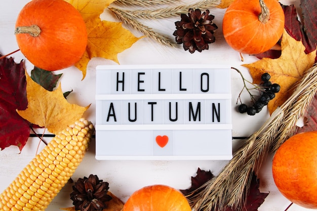 Herbst- und Erntekonzept Reife Kürbisse, Mais und Weizen auf weißem Hintergrund