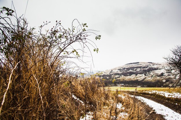 Herbst und Winter