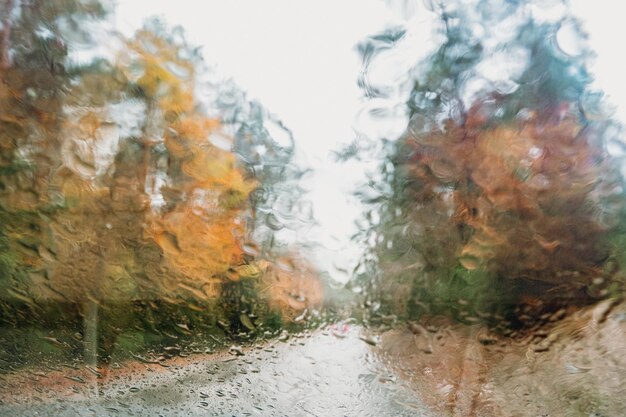 Herbst verschwommenes Hintergrundbild durch nasses Fenster Kein Bild von Menschen mit gelb-grünen Blättern