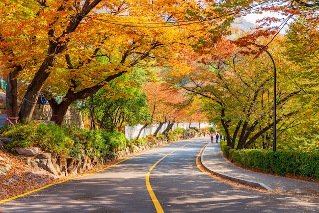 Foto herbst von namsan-turm in seoul, südkorea