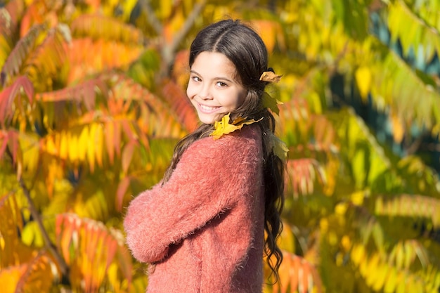 Herbst warmes stilvoll lächelndes Mädchen in einem Park Herbst indischer Sommer Zeit des ungewöhnlich warmen trockenen Wetters Herbst Natur glückliches kleines Kind im Freien Sonniges Wochenende Mädchen entspannt sich im Park sonniger Tag