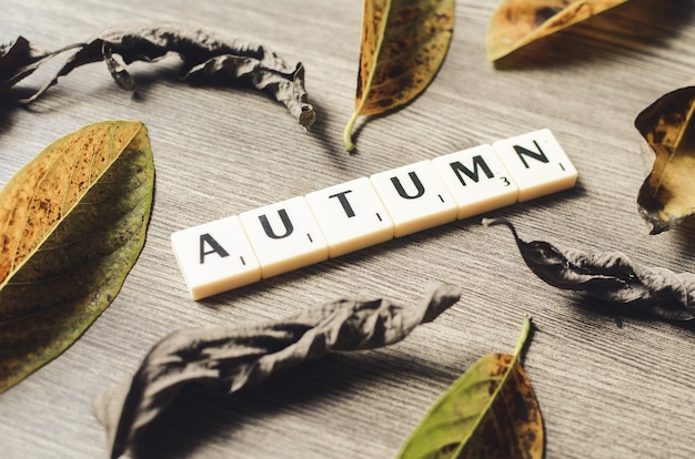 Foto herbst-wort auf holzwürfeln auf holzhintergrund