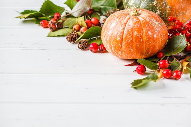 Herbst Zusammensetzung. Herbstlaub, Beeren und Kürbis auf weißem Hintergrund, Kopienraum.