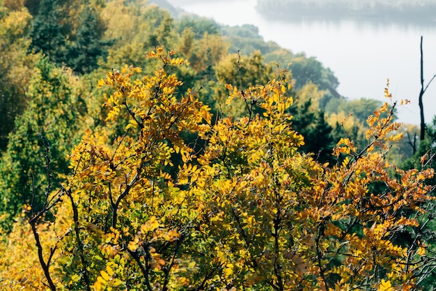 Herbst