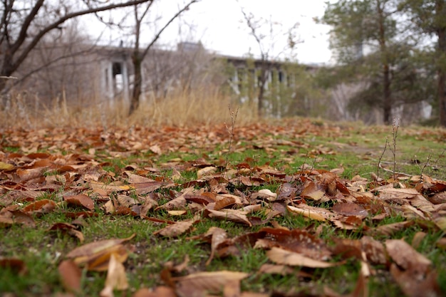 Herbstabdeckung