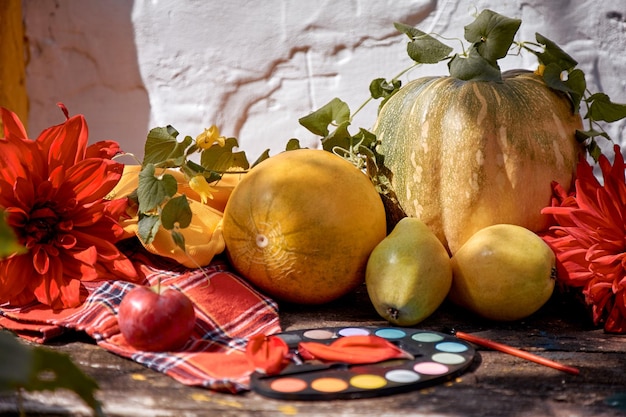 Herbstästhetik fair gelbes Obst und Gemüse und helle Farben mit einem Pinsel Kürbis Birnen Apfel und Melone Thanksgiving Day Konzept Stillleben im Herbst mit roten georgine modernen Schatten