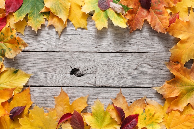 Herbstahornblätter auf Holzbrettern