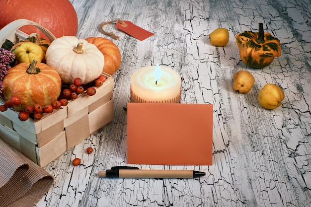 Herbstanordnung mit Kürbisen, brennender Kerze und leerem Umschlag