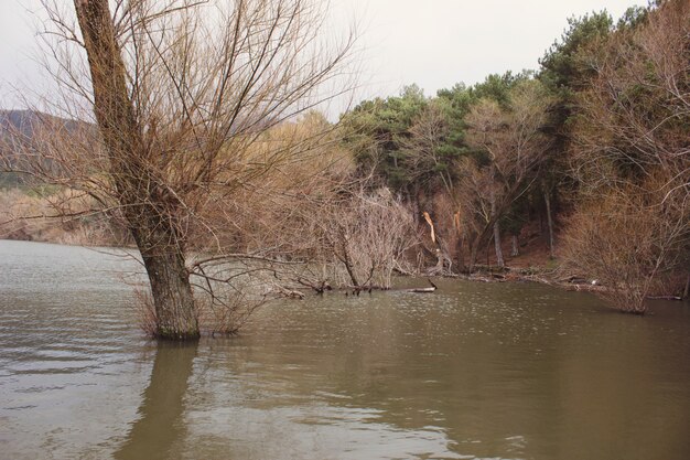 Herbstansicht von einem See mit einem Laub in den Bäumen