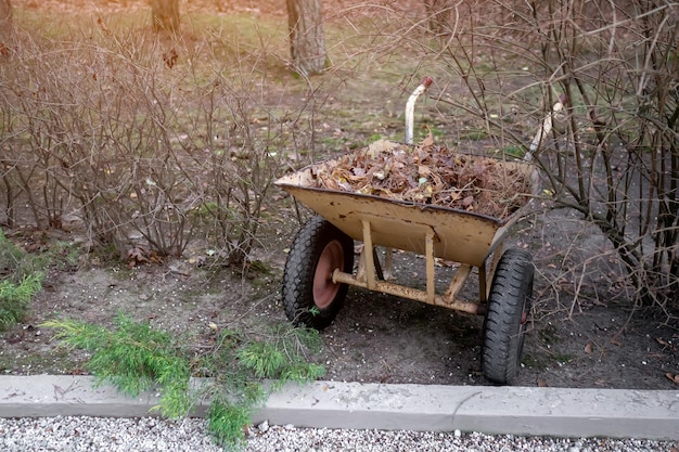 Herbstarbeit im Garten Schubkarre mit Müll