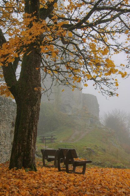 Herbstbanner