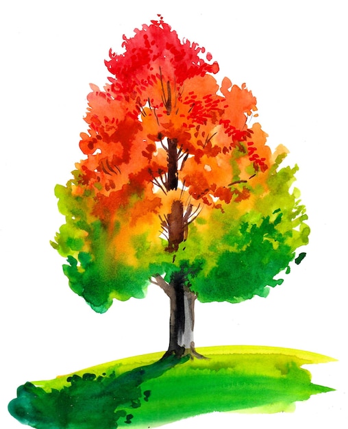 Herbstbaum Tusche- und Aquarellskizze
