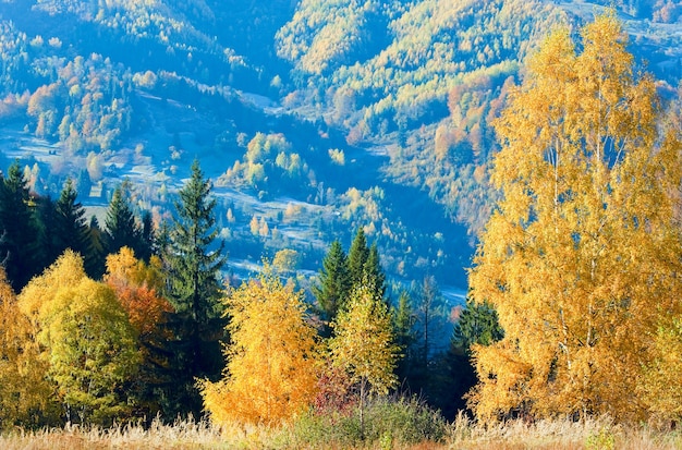 Herbstberg Nimchich Pass, Karpaten, Ukraine und bunte Bäume auf Hügel.