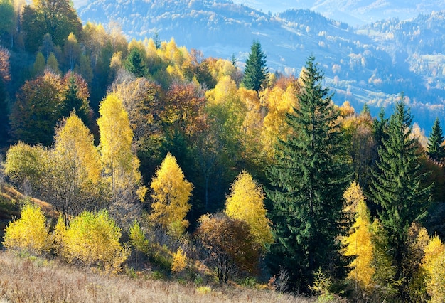 Herbstberg Nimchich Pass, Karpaten, Ukraine und bunte Bäume auf Hügel.