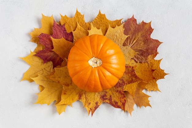 Herbstbild mit reifem orangefarbenem Kürbis in der Mitte der Komposition auf grauem Betonhintergrund flach