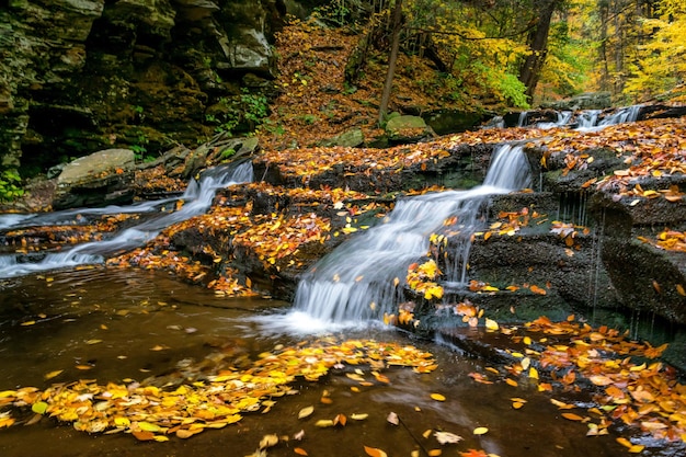 Herbstblätter am Wasserfall im Wald