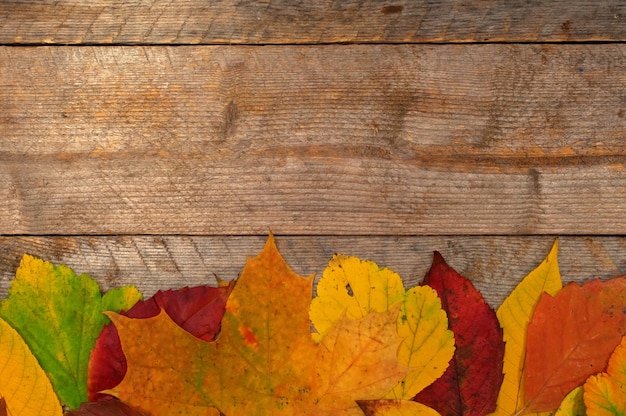 Herbstblätter auf dem Hintergrund von Holzplatten