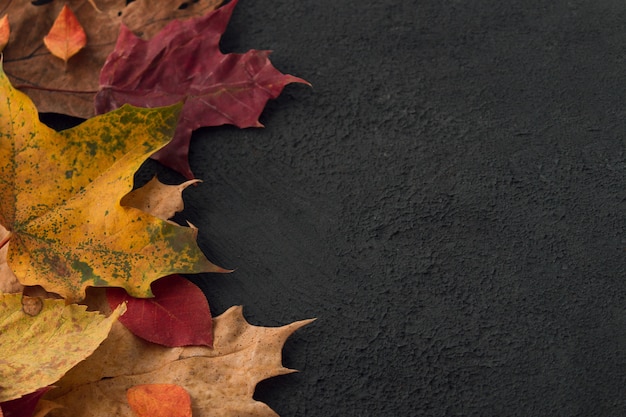 Herbstblätter auf dunklem Betonhintergrund.