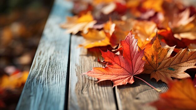 Foto herbstblätter auf einem holztisch