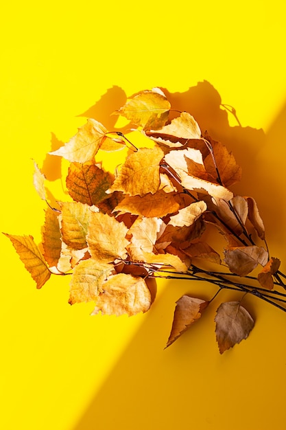 Herbstblätter auf gelbem Grund