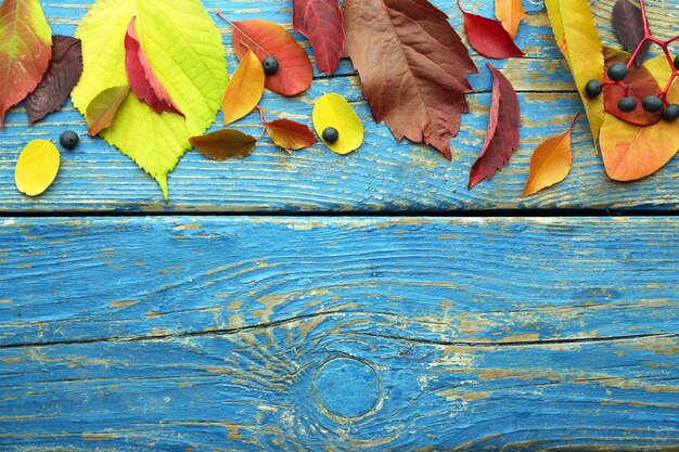 Foto herbstblätter auf holzuntergrund