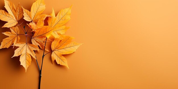 Herbstblätter auf orangefarbenem Hintergrund